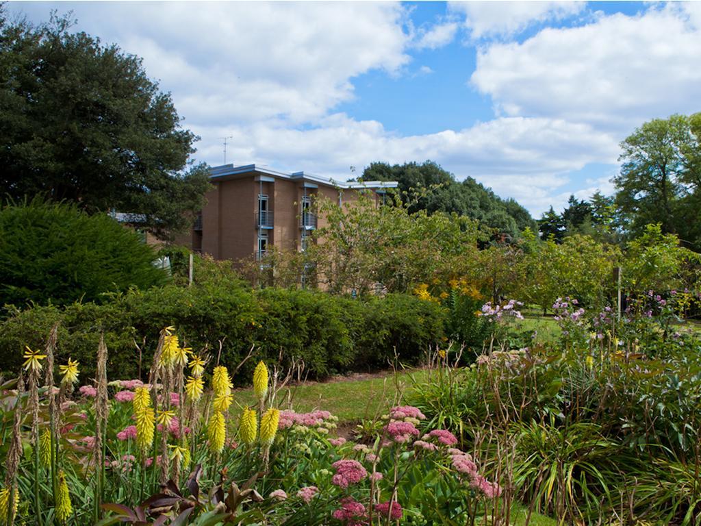 University Of Exeter - Pennsylvania Court Exteriör bild
